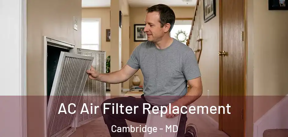 AC Air Filter Replacement Cambridge - MD