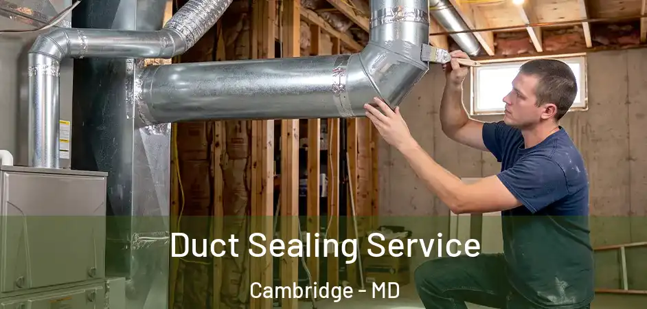 Duct Sealing Service Cambridge - MD