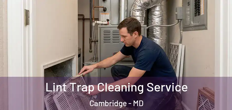 Lint Trap Cleaning Service Cambridge - MD