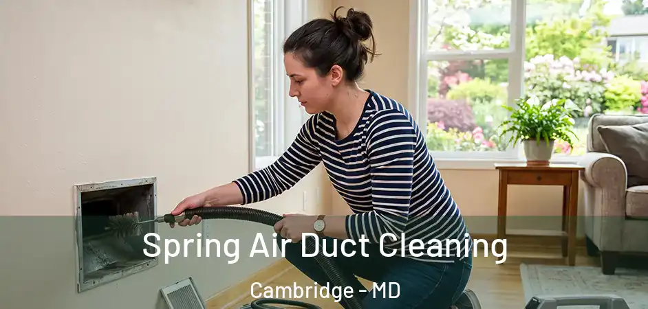 Spring Air Duct Cleaning Cambridge - MD